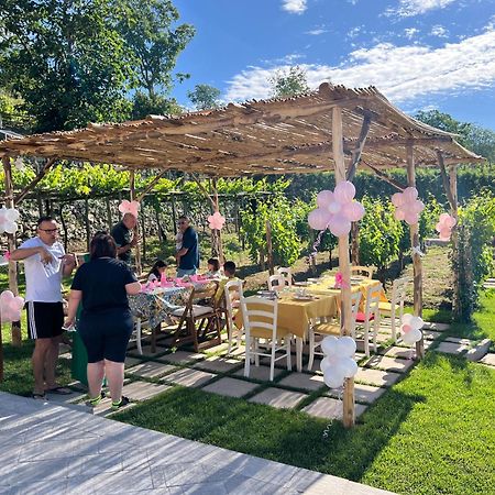 Il Vigneto Di Nonno Pietro Bed & Breakfast Agerola Exterior foto