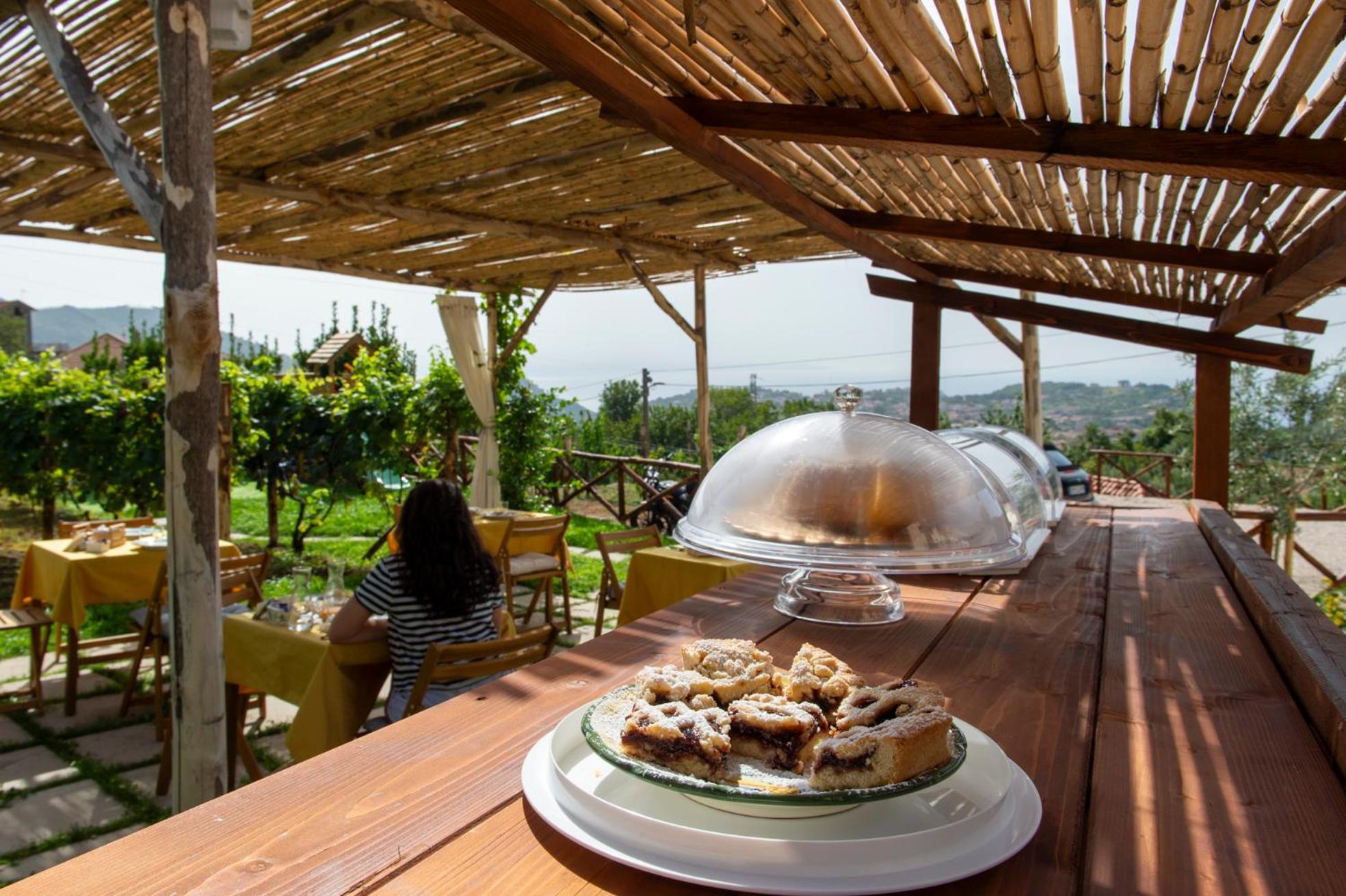 Il Vigneto Di Nonno Pietro Bed & Breakfast Agerola Exterior foto
