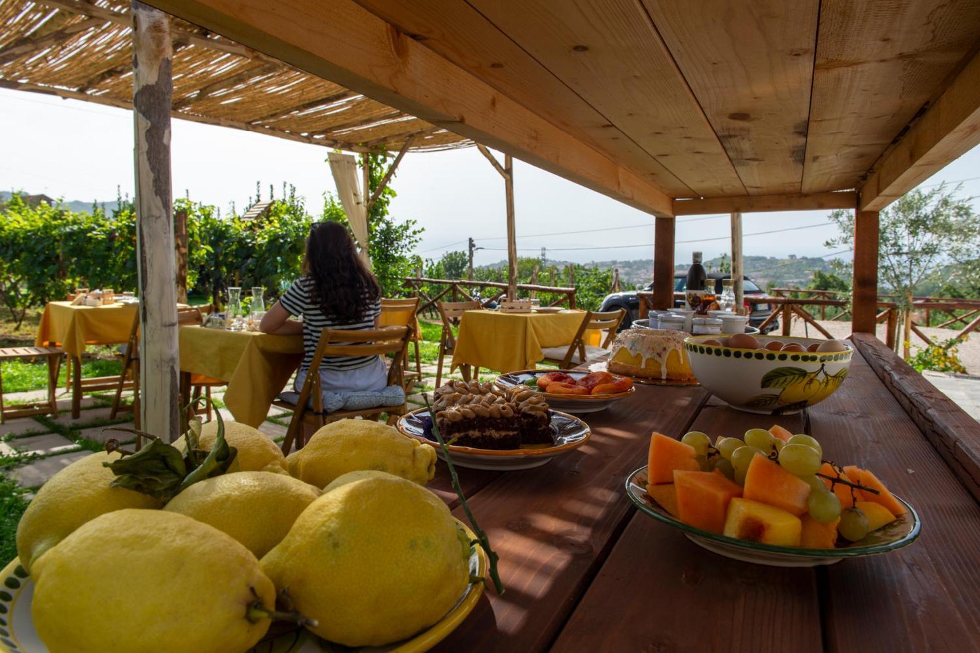 Il Vigneto Di Nonno Pietro Bed & Breakfast Agerola Exterior foto