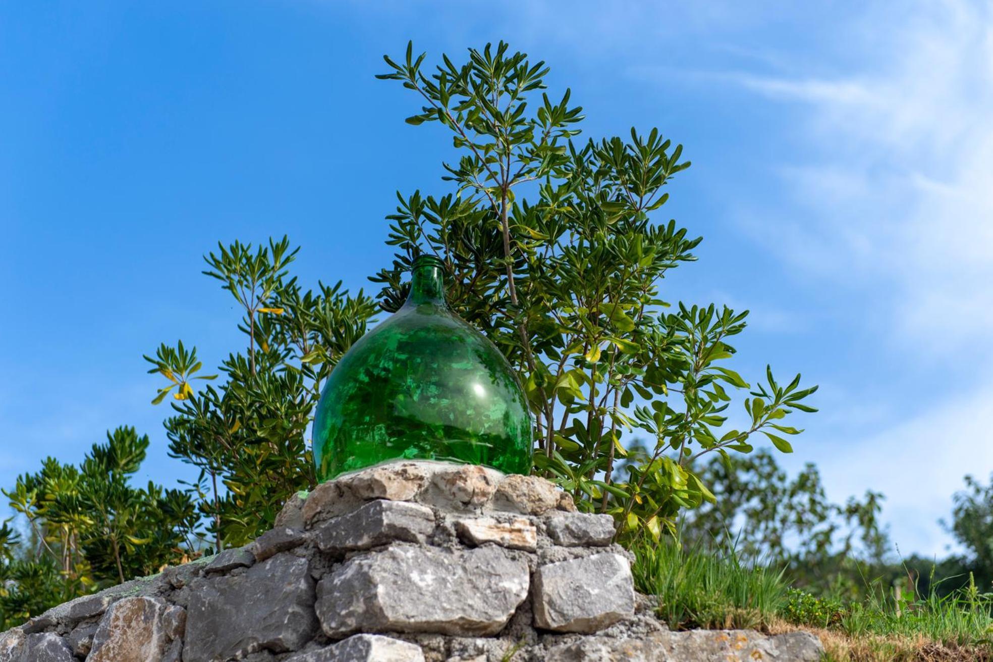 Il Vigneto Di Nonno Pietro Bed & Breakfast Agerola Exterior foto
