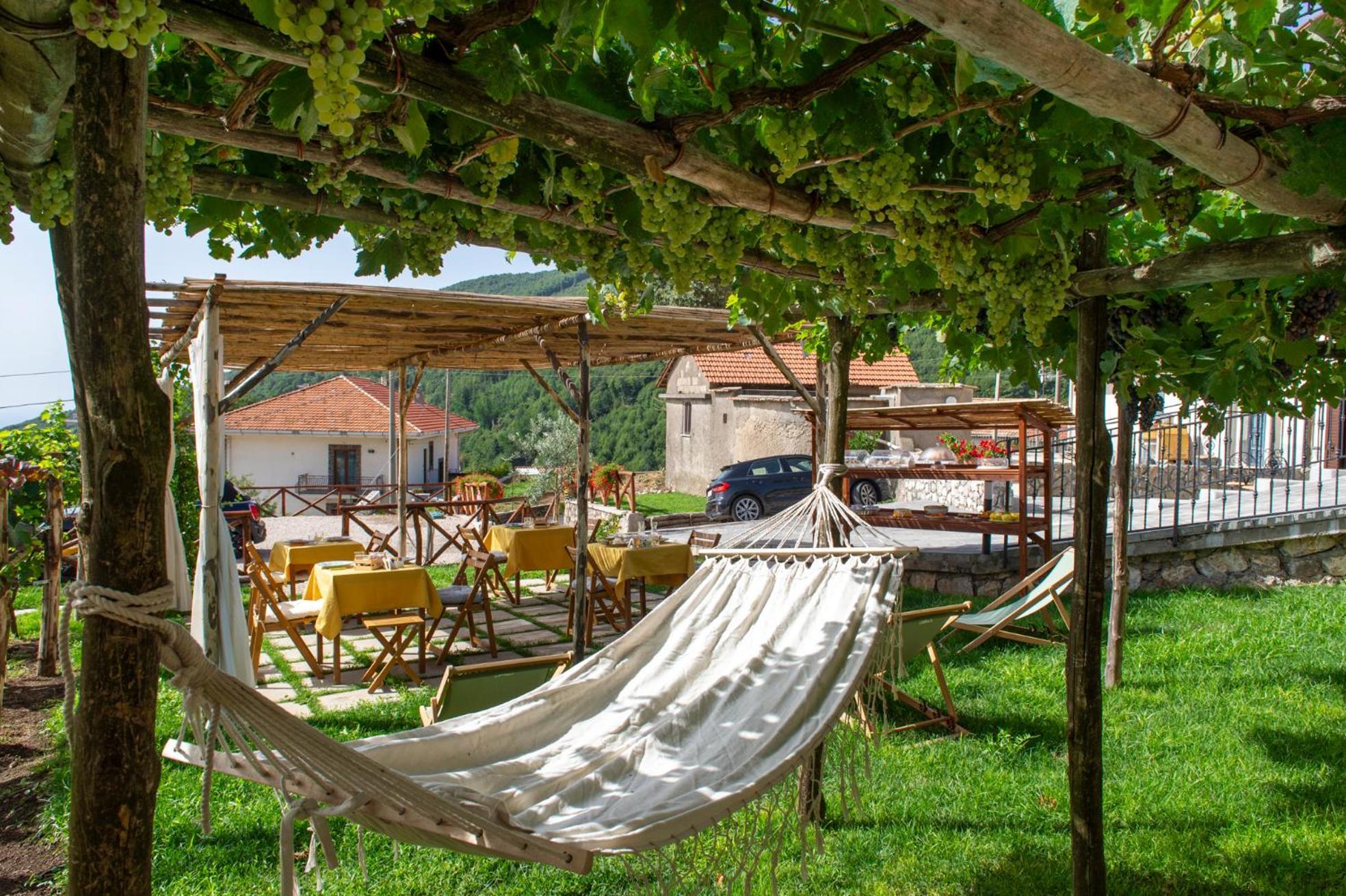 Il Vigneto Di Nonno Pietro Bed & Breakfast Agerola Exterior foto